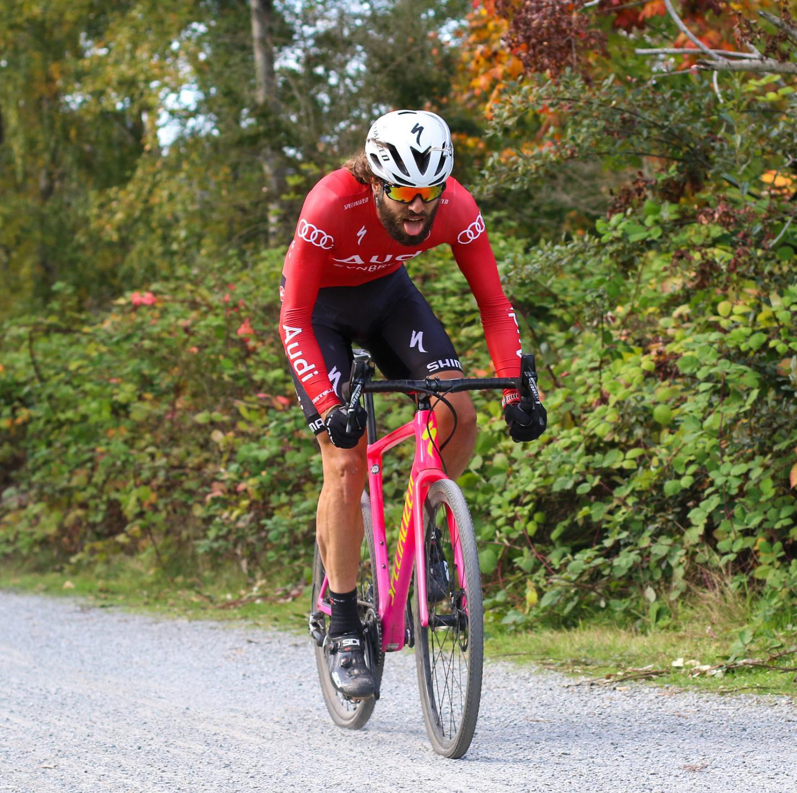 Best Parks in Seattle: My Favorites and Why They Stand Out hero image